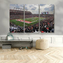 Rutgers Scarlet Knights Football Team Print - SHI Stadium,