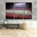 Rutgers University Scarlet Knights Football Team Print -