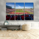 Ball State Cardinals Football Team Print - Muncie Scheumann