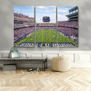 TCU Horned Frogs Football Team Print - Fort Worth Amon G.