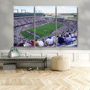 The Texas Christian University TCU Horned Frogs Football