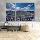 Air Force Falcons Football Team Print - Colorado Springs by MyGreatCanvas | Canvas Wall Art Prints | Photo Prints & Wall Decor