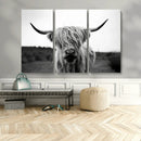 Highland Cow Wall Art | Black and White Farmhouse Decor |