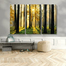 Sunlit Forest Wall Art Canvas Print – Large Framed Woodland