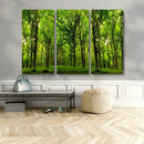 Lush Green Forest Canvas Print | 3-Panel Forest Wall Art |