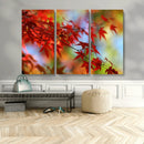 Red Leaves Autumn Forest Wall Art Canvas, Red Leaves Autumn by MyGreatCanvas | Canvas Wall Art Prints | Photo Prints & Wall Decor