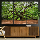 Majestic Oak Tree Wall Art Canvas Print – Ancient Branches by MyGreatCanvas | Canvas Wall Art Prints | Photo Prints & Wall Decor