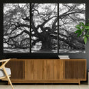 Ancient Oak Wall Art Canvas Print, Majestic Twisted Branches by MyGreatCanvas | Canvas Wall Art Prints | Photo Prints & Wall Decor