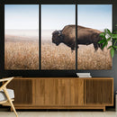Wild Bison Wall Art – Framed Prairie Landscape Canvas by MyGreatCanvas | Canvas Wall Art Prints | Photo Prints & Wall Decor