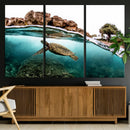 Sea Turtle Wall Art Canvas Print – Framed Ocean Life