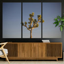 Joshua Tree Wall Art Canvas Print – Framed Southwestern