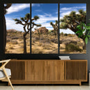 Joshua Tree Desert Wall Art Canvas Print – Framed
