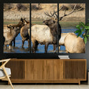 Wild Elk Wall Art Canvas Print – Framed Neutral Wildlife