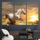 Large Wall Art Galloping White Horse at Sunset Canvas Print