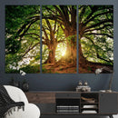 Majestic Ancient Tree Wall Art, NatureCanvas Print, Woodland by MyGreatCanvas | Canvas Wall Art Prints | Photo Prints & Wall Decor
