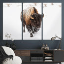 Bison Winter Wall Art Canvas Print For Farmhouse Decor