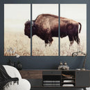 Bison in Field Wall Art Canvas Print For Farmhouse Barn