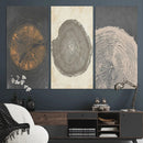Boho Tree Ring Wall Art, Modern Minimalist Wood Grain by MyGreatCanvas | Canvas Wall Art Prints | Photo Prints & Wall Decor
