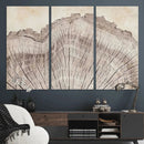 Tree Ring Wall Art Triptych, Rustic Wood Ring Canvas Print,