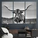 Texas Longhorn Cow Wall Art, Texas Longhorn Canvas, Cattle