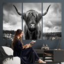 Scottish Cow Wall Art Canvas Print | Longhorn Wall Art |