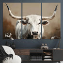 White Longhorn Bull Wall Art Canvas Print – Framed and Ready