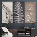 Minimalist Botanical Wall Art Canvas Print, Framed and Ready