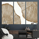 Rustic Brown Tree Ring Wall Art Canvas Print – Framed and