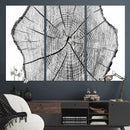 Rustic Tree Ring Wall Art Canvas Print – Framed and Ready to