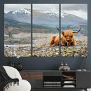 Highland Cow Horn Farm Wall Art Canvas Print