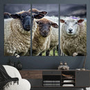 Charming Sheep Portrait Wall Art – Trio of Woolly Companions by MyGreatCanvas | Canvas Wall Art Prints | Photo Prints & Wall Decor
