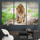 Leopard on the Prowl - Stunning Large Framed Leopard Wall