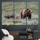 Wildlife Photography of 399 Grizzly Bear Cubs | Queen of the