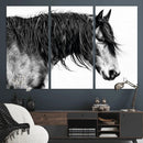 Majestic Horse Wall Art – Framed Black White Portrait Canvas by MyGreatCanvas | Canvas Wall Art Prints | Photo Prints & Wall Decor
