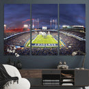 Kroger Field Canvas Wall Art - Kentucky Stadium Wall Art