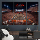 Texas Stadium Night Game Wall Art Canvas Print – Vibrant