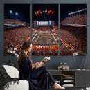 Texas Stadium Night Game Wall Art Canvas Print – Vibrant