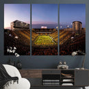 Iowa Hawkeyes Kinnick Stadium Wall Art Canvas Print, Framed