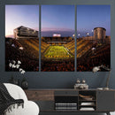 Iowa Hawkeyes Kinnick Stadium Wall Art Canvas Print, Framed