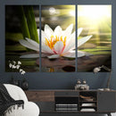 Lotus Flower Wall Art Canvas Print, Water Lily Large Wall