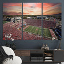 Indiana Memorial Stadium Wall Art Canvas Print, Framed