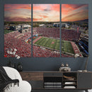 Indiana Memorial Stadium Wall Art Canvas Print, Framed