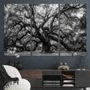 Black and White Old Angel Oak Tree Wall Art Canvas Print by MyGreatCanvas | Canvas Wall Art Prints | Photo Prints & Wall Decor
