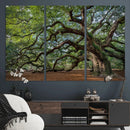 Historic Tree Wall Art – Framed Mossy Branch Canvas Artwork, by MyGreatCanvas | Canvas Wall Art Prints | Photo Prints & Wall Decor