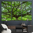 Oak Tree Wall Art Print, Forest Canvas Wall Art for Home and by MyGreatCanvas | Canvas Wall Art Prints | Photo Prints & Wall Decor