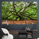 Majestic Oak Tree Wall Art Canvas Print – Ancient Branches by MyGreatCanvas | Canvas Wall Art Prints | Photo Prints & Wall Decor