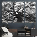 Ancient Oak Wall Art Canvas Print – Gnarled Tree Twisted by MyGreatCanvas | Canvas Wall Art Prints | Photo Prints & Wall Decor