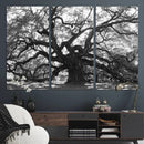 Ancient Oak Wall Art Canvas Print, Majestic Twisted Branches by MyGreatCanvas | Canvas Wall Art Prints | Photo Prints & Wall Decor