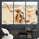 Texas Longhorn Wall Art Canvas Print – Framed Spotted Cow