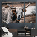 Texas Longhorn Wall Art Canvas Print – Framed Spotted Bull